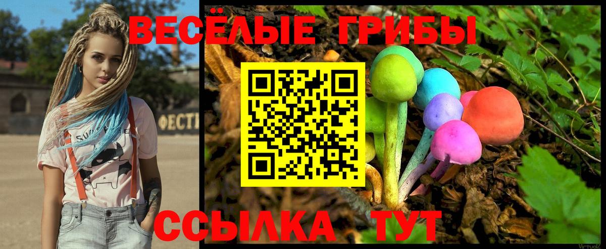 Галлюциногенные грибы GOLDEN TEACHER  Галлюциногенные грибы мицелий  Вход с VPN  Кашира 