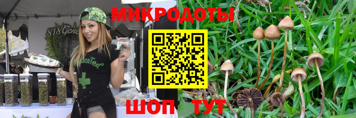 Псилоцибиновые грибы мухоморы Кашира